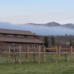 Pebblestone Tasting barn with fog in the hills