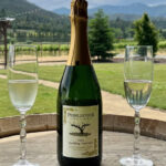 New Release - 2022 Sparkling Pinot Gris @ Pebblestone Cellars