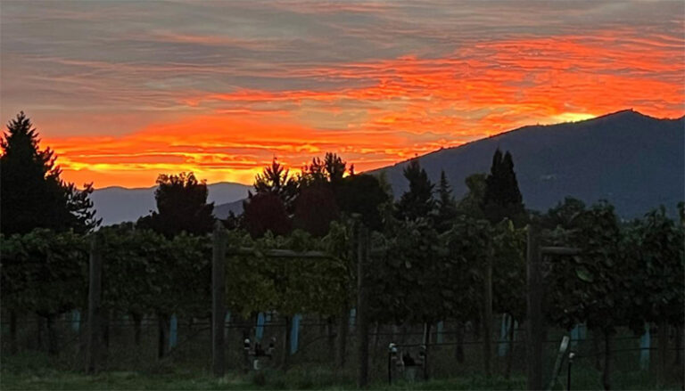 Fiery Sunset at Pebblestone Cellars