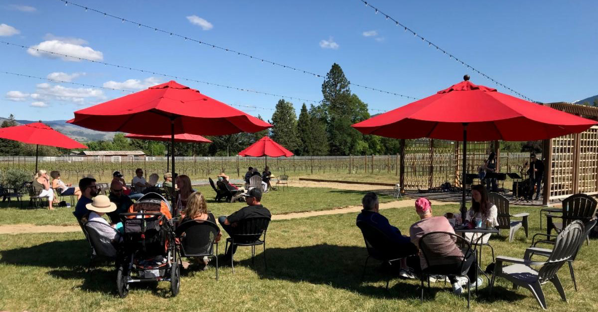 Red umbrellas on the lawn