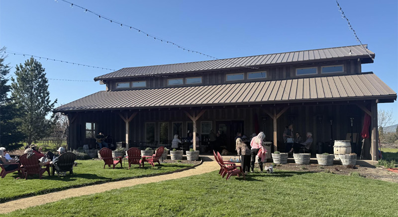 Enjoying the sun on the lawn at Pebblestone Cellars